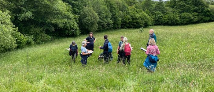 IMG-20220607-WA00061