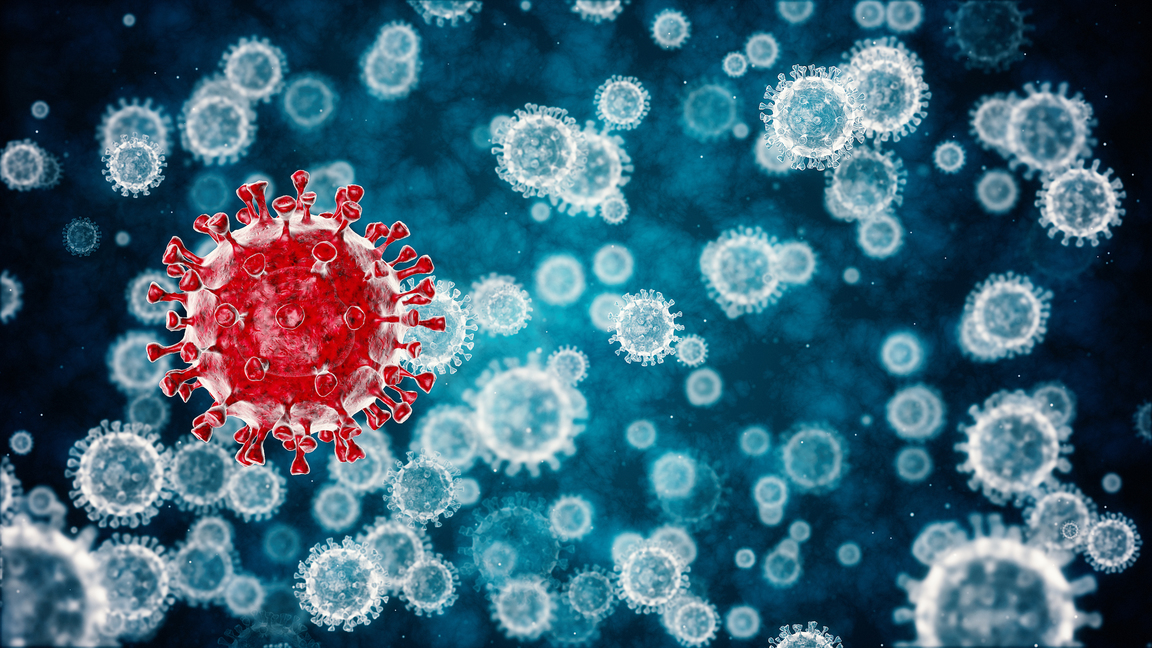 Coronavirus crisis: what comes next?