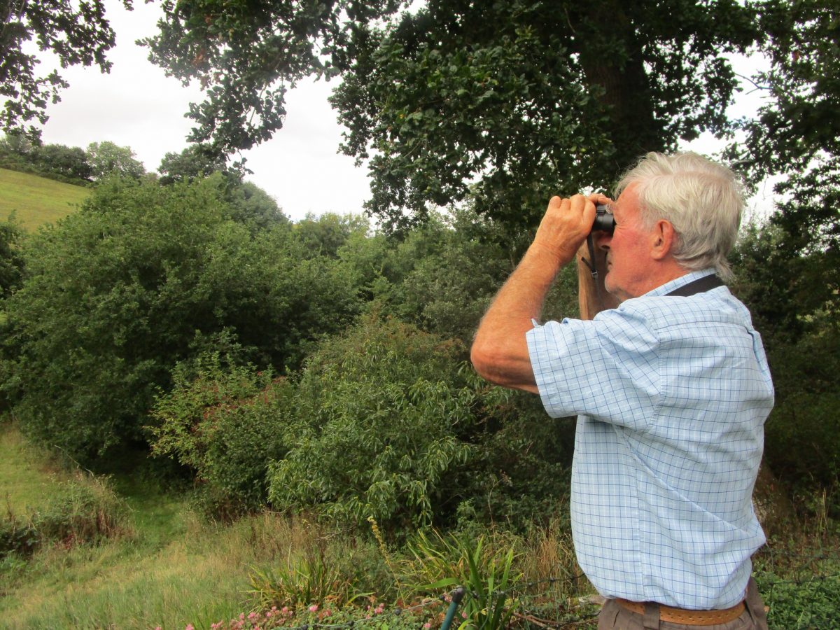 Could you be a parish Wildlife Warden?