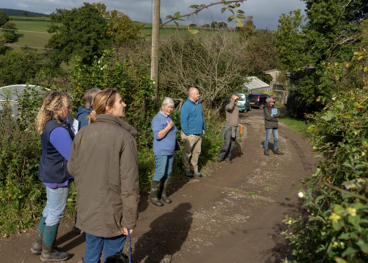 Why Wildlife Wardens?