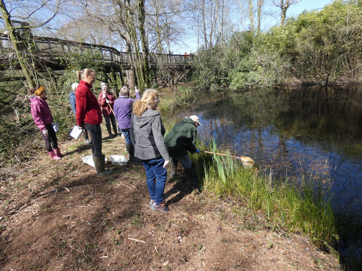 Wildlife Warden April Newsletter