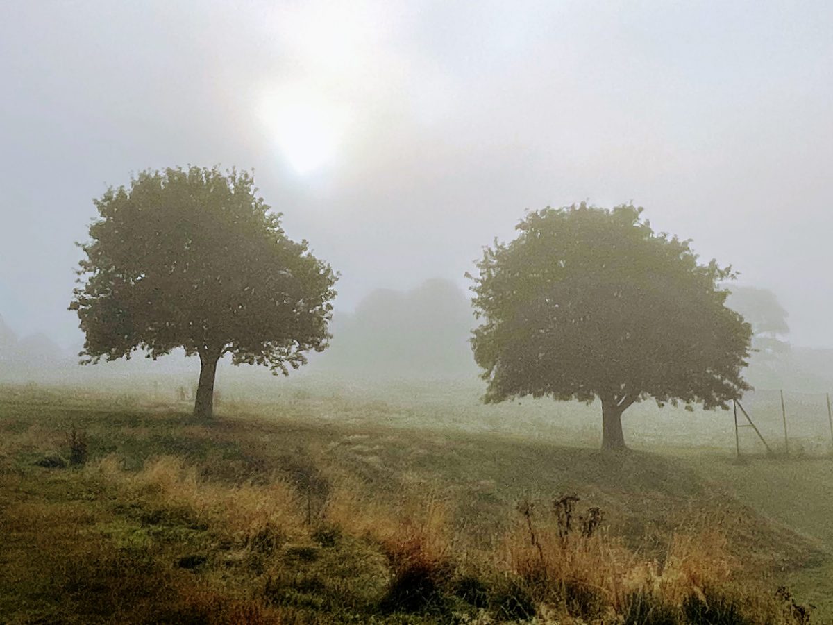 September 2021 Newsletter