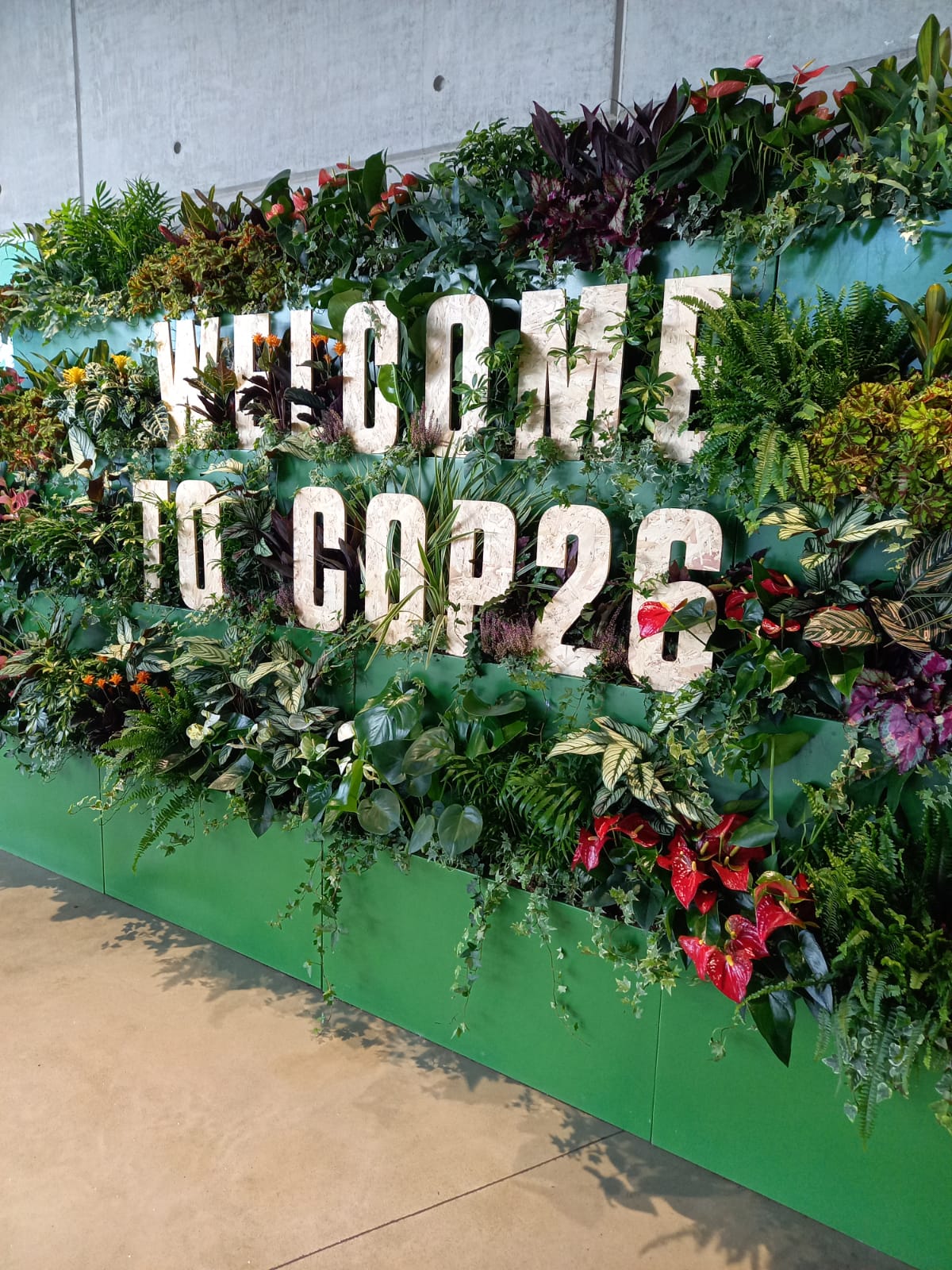 COP26: Mission accomplished?