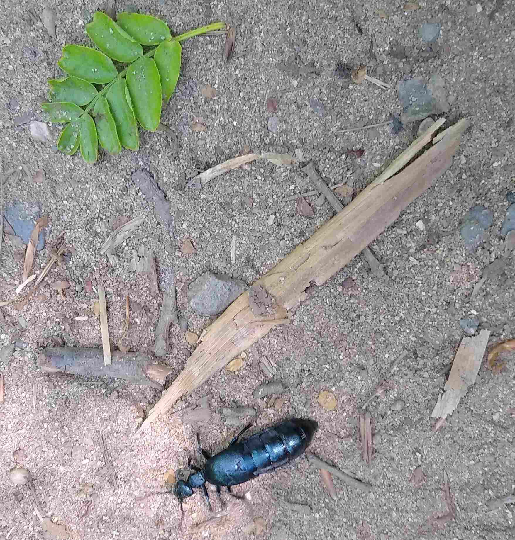 Energy Group meeting notes (8th June 2023)